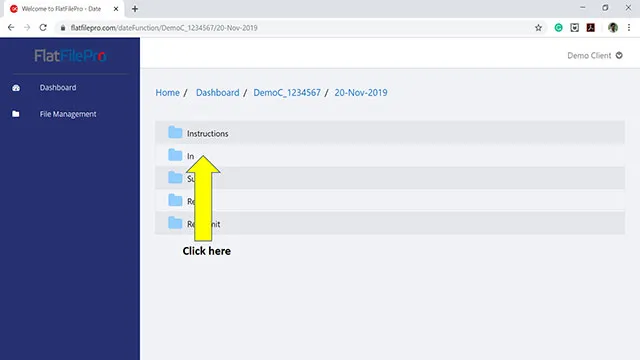 FlatfilePro File Managment