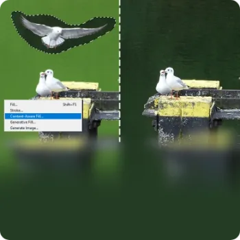 Background Cleaning