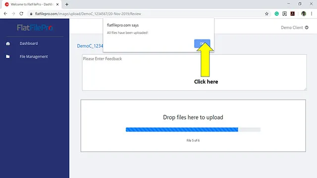 FlatfilePro Feedback Submit